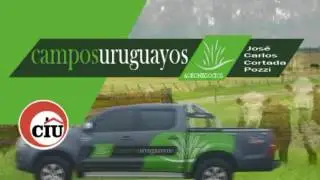 CAMPOS URUGUAYOS