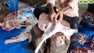 Carneros de Panza Negra Guyana