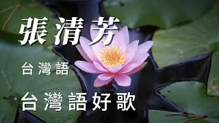 （張清芳）台灣語好歌（台語精選）謝謝朋友🐶🐶🐶🐶🐶🐶