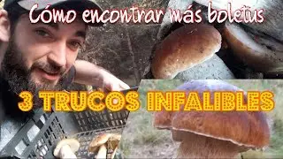 3 TRUCOS PARA COGER M&Aacute;S BOLETUS🍄🌲 [100% EFECTIVO]👍