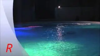 Dolphins jumps with trainer  (normal and slowmotion)