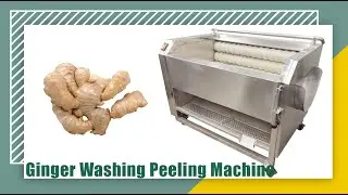 Ginger Washing and Peeling Machine In Sri Lanka #shorts