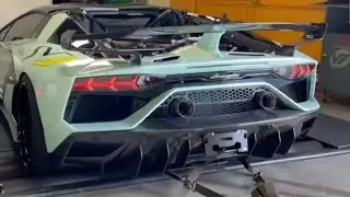 The Golden Lamborghini.