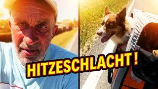 *33 Kultiger Australian Shepherd auf Fahrradtour durch Mitteleuropa