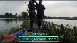 hasil akhir mancing bandeng meronta ronta#P2BG Channel jngnlupo subceber ya gaes
