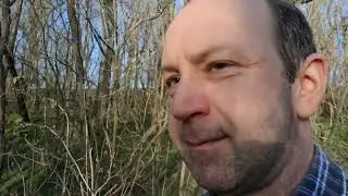 Vodní nádrž Oleksovice a divoké husy na rybníku 7.3.2025