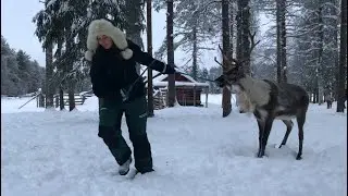 Olgamaria: Ajetaan porolla ojaan - rekitreenipäivä