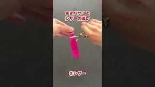 美容師が使うのはどっち？ #カット #美容師 #美容室