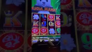 Day 7/30 $100 challenge 30 days in a row! &ldquo;Dragon link high limit triple up&rdquo; #casino #fun #jackpot