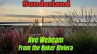 SUNDERLAND LIVESTREAM FROM THE ROKER RIVIERA #davidfoster9799 #dolphin #roker #woodfiredpizza