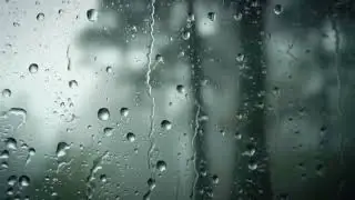 Rainy Day Jazz Ballads for Window Gazing ☕ㅣ'Raindrops and Reveries'ㅣCozy Cafe Vibe Playlist