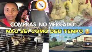 Fui na Cidade e Tive Que Voltar Correndo! Que Dia Foi Esse?