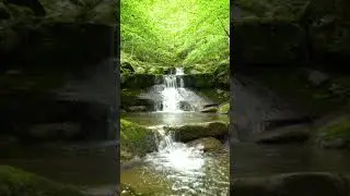 Peaceful Forest Stream and Cascading Waterfalls | Cinematic Nature Ambience #sleepsounds