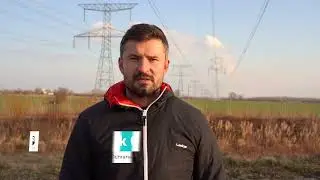 Birds striking power lines - causes and consequences