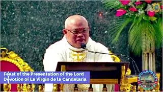 Homily : Feast of the Presentation of the Lord Devotion of La Virgin de la Candelaria