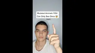 Mutated Animals YOU Can Only See Once! #Shorts