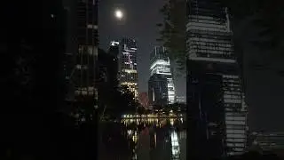 One Bangkok Laser Mapping | สวนลุมพินี | 15/10/24