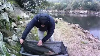 Carpfishing em Portugal rio Dão
