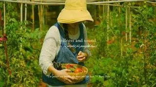 stillness and sound. &mdash; (a playlist for peaceful days)