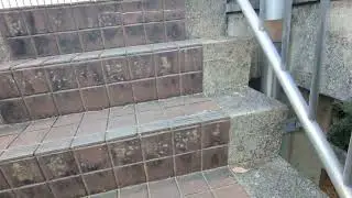 神園山展望台、長嶺城跡