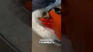 Спасение ценою в слезы😭❤️