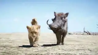 The Lion King in 1 Minute