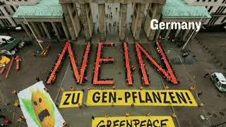 GMO OMG 2013 | Documentary film | by Jeremy Seifert | Full on description below