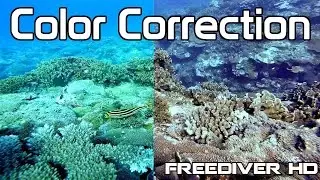 Underwater Color Correction in Sony Vegas | GoPro Protune