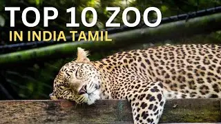 Top 10 zoo in india tamil | இந்தியாவின் 10  சிறந்த உயிரியல் பூங்கா😱😱😱