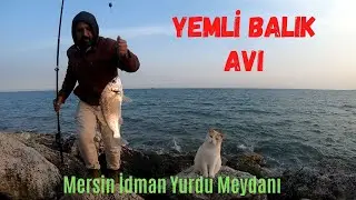 Yemli Balık Avı (Çeşit Bol )