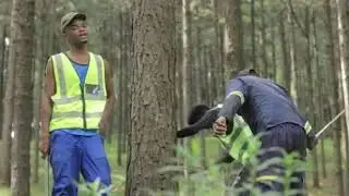 Razie Kay Ndi iteni
