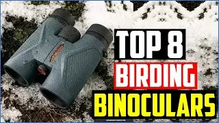 ✅TOP 8 Best Binoculars For Birding in 2020 [Top 8 Picks Reviewed]