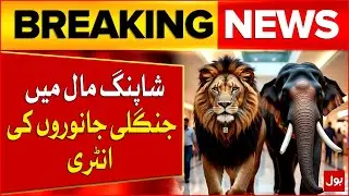 Wild Animals Entry In Rawalpindi&rsquo;s Jungle-Themed Food Court At Shopping Mall | Breaking News