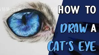 КАК НАРИСОВАТЬ КОШАЧИЙ ГЛАЗ | Урок рисования цветными карандашами