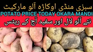 Potato mandi rate. sabzi mandi okara today potato price 03.02.2026