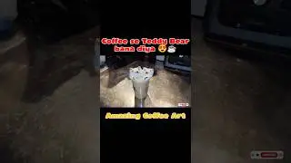 Dekho kaise coffee se cute sa Teddy Bear bana☕🐻 😍#alfifun #funny #coffeeart #comedy #viral