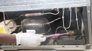 How to Clean a Refrigerator Drip Tray ( Evaporator tray on Samsung Refrigerator) to Remove Bad Smell