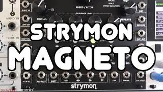 Strymon Magneto