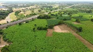 Drone Visuals  || Crops in India  || Farming in India
