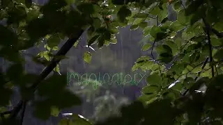 Thunder comes prowling. 5 Minute Nature Meditation: Imaginatory