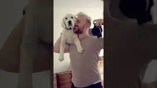 Puppies grow up too fast..