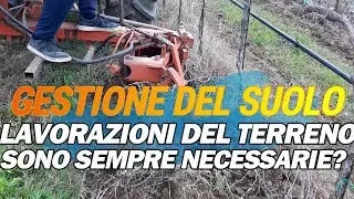 GESTIONE DEL SUOLO: Perch&egrave; lavorare il terreno in un nuovo impianto.