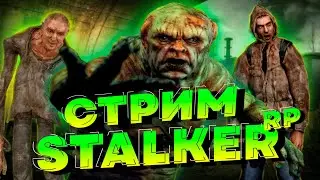 ☢️ RETRIBUTION | ОБЗОР СЕРВЕРА 3☢️ [в DAYZ Stalker RP]