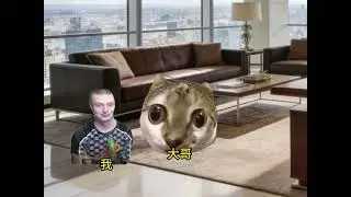 就算是假千金也要勇敢擺爛#猫meme #猫 #猫咪 #猫咪小剧场 #meme