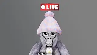 Gorilla tag live whit fans