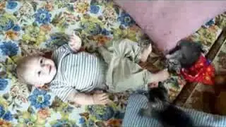 Killer Kittens!