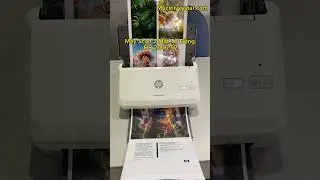 M&aacute;y scan HP 2000 S2, scan t&agrave;i liệu 2 mặt tự động tốc độ nhanh. #mayscan #hp2000s2 #mayscan2mat