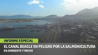 Ushuaia: Preocupaci&oacute;n por la instalaci&oacute;n de salmonera
