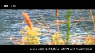 Canon Legria HF S21 и широкоугольный конвертер Canon WD-H58.mp4
