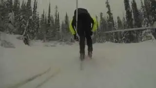 pow skate